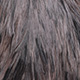 white dyed dark dun