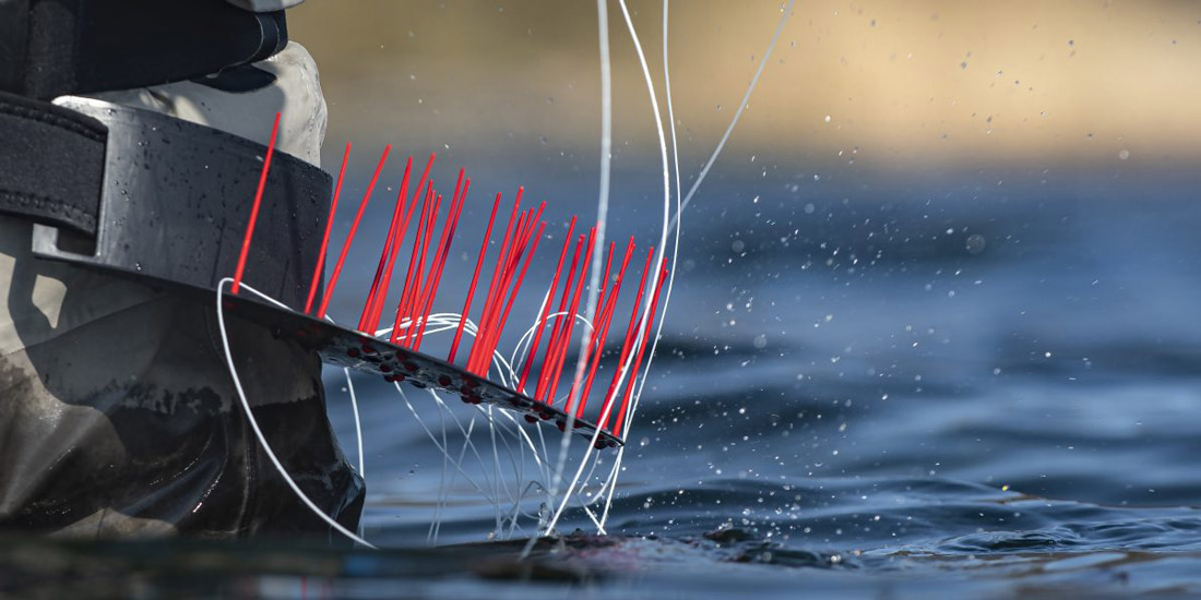 Ahrex_Flexi_Stripper_Promo_2 Beispielbild - andere Farbe