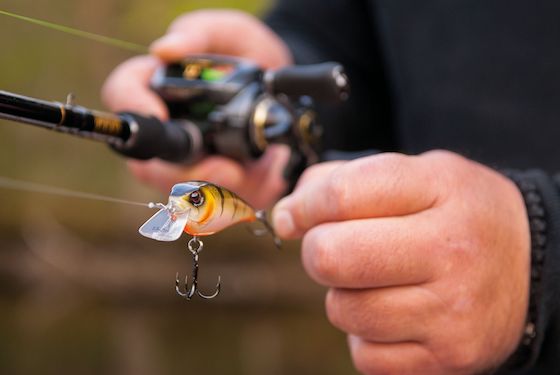Hardbaits_Blog-Vorschau.jpg