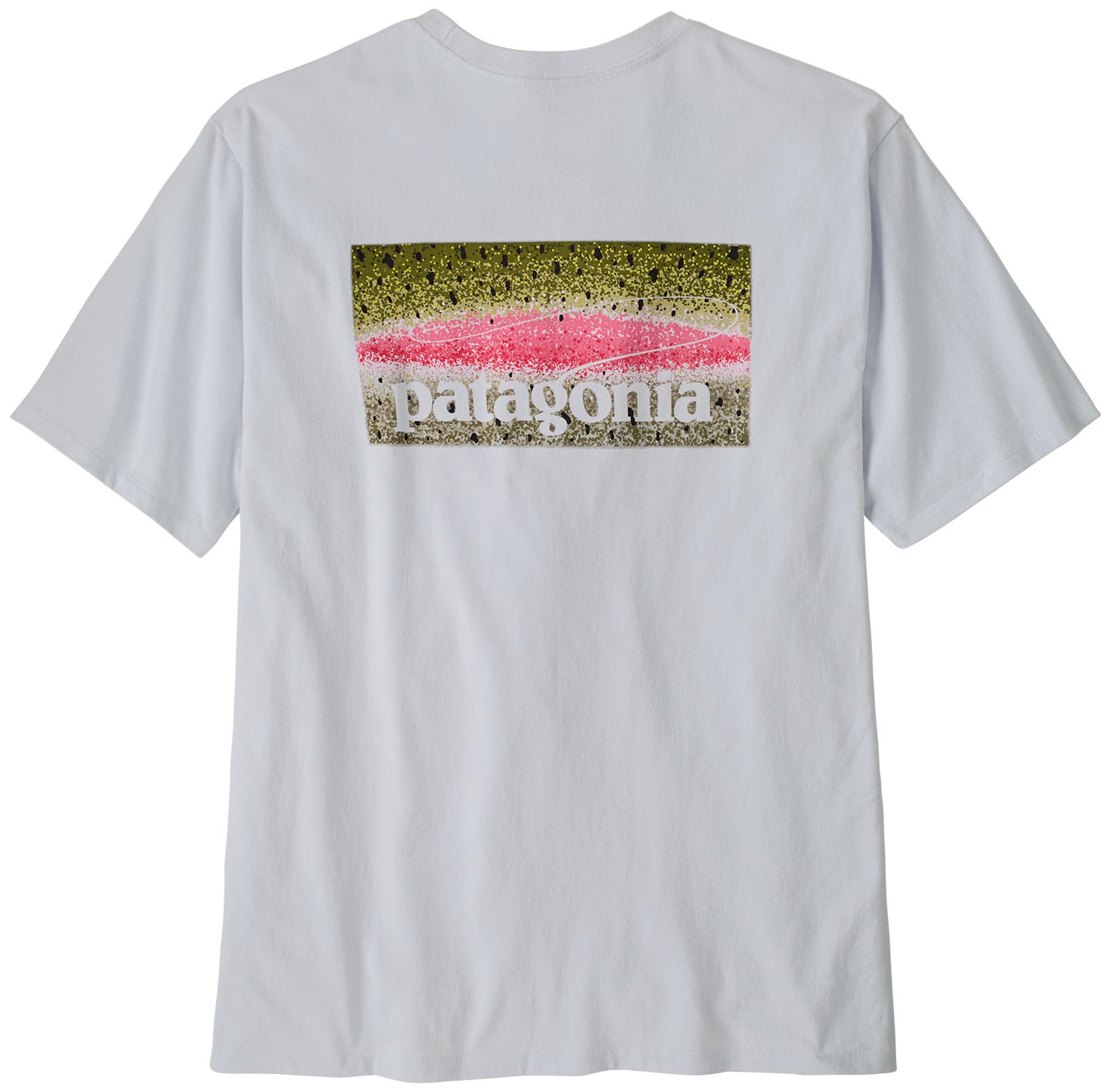 Patagonia Take a Stand Responsibili Tee RBWI