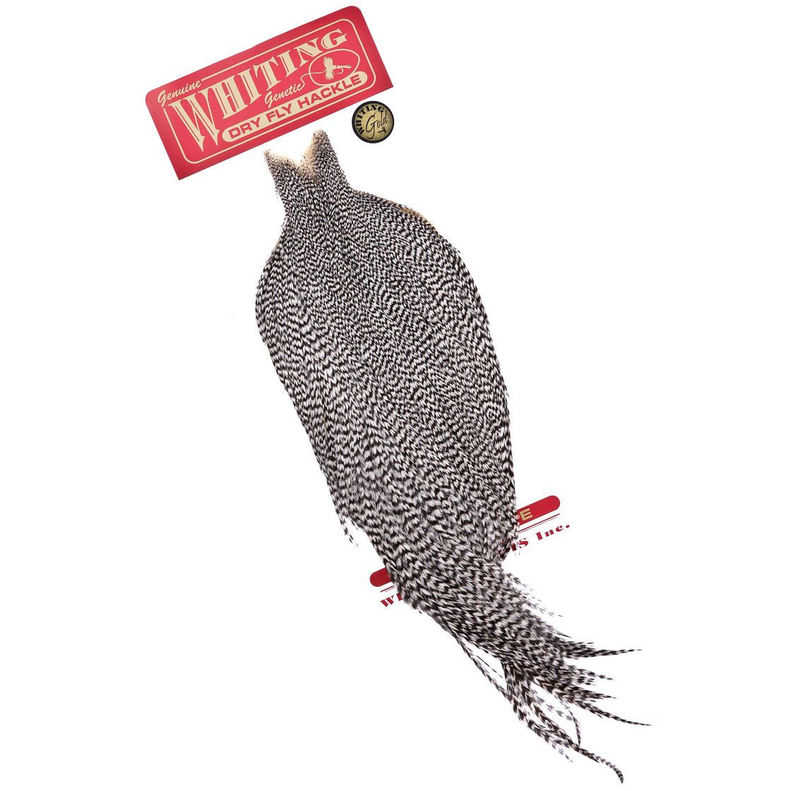 P-25421-1_Whiting-Gold-Cape_grizzly grizzly