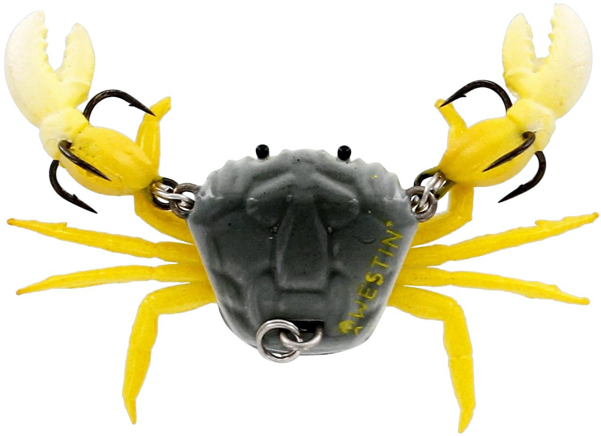 beach crab