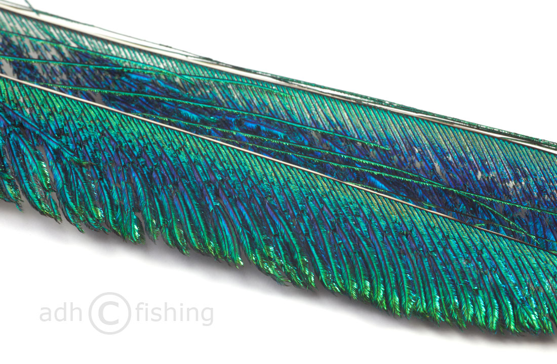 Veniard Peacock Sword Tails Pfauenschwertfedern 35-50 cm