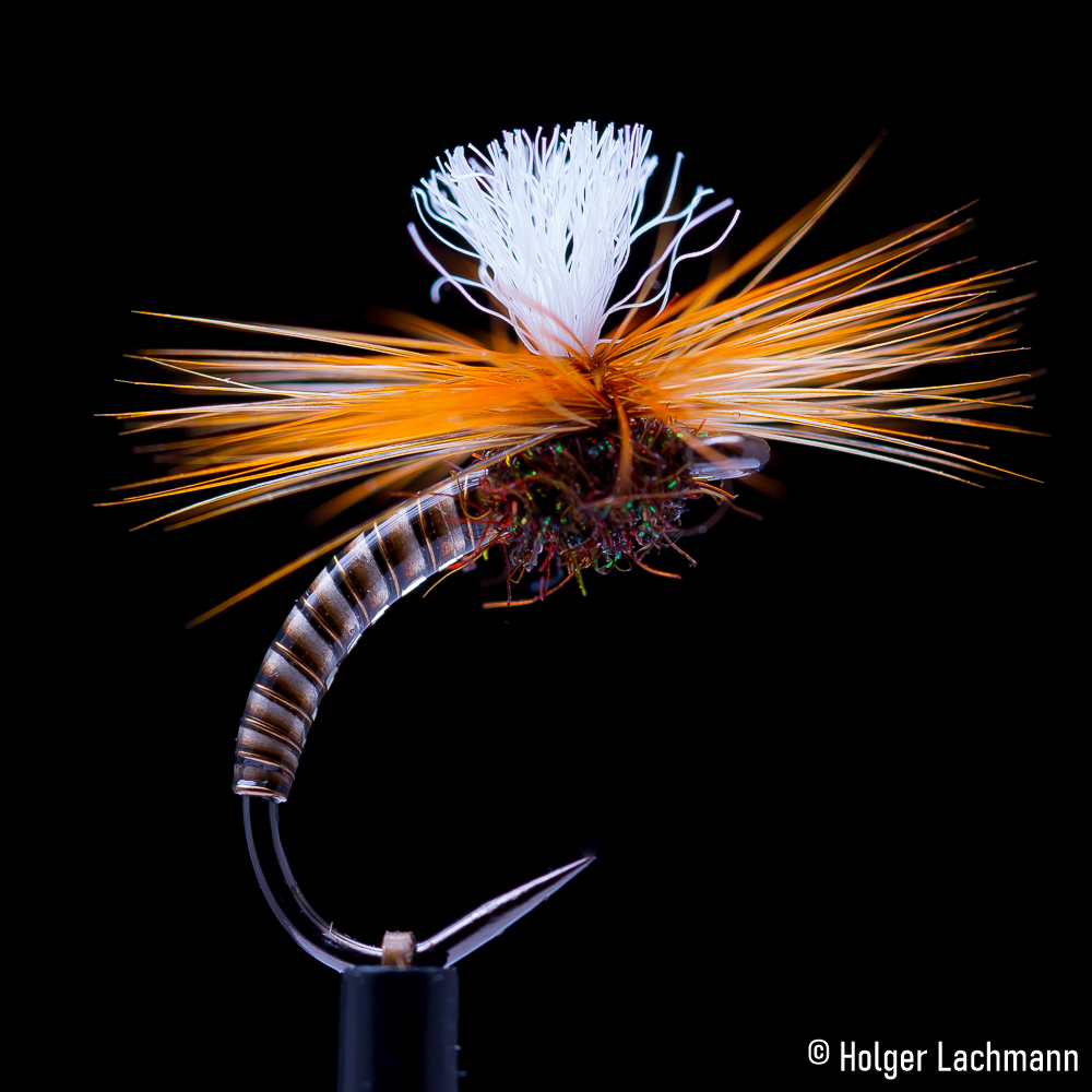 Holger_Lachmann_Whiting_Trockenfliege_Beispiele_16 Bindebeispiel