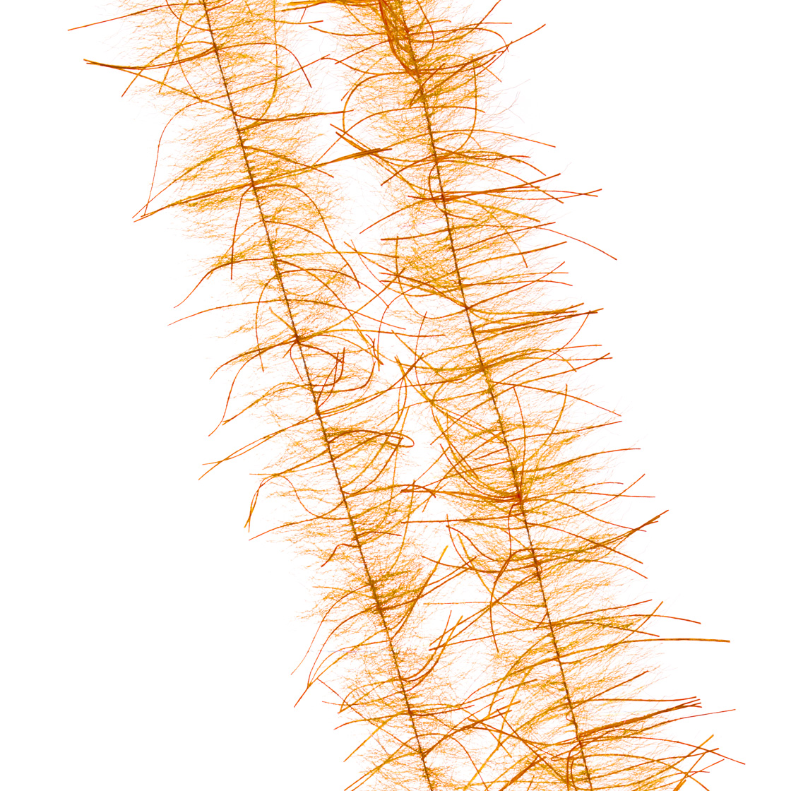 hot orange