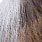 pearl gray