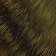 olive grizzly black barred