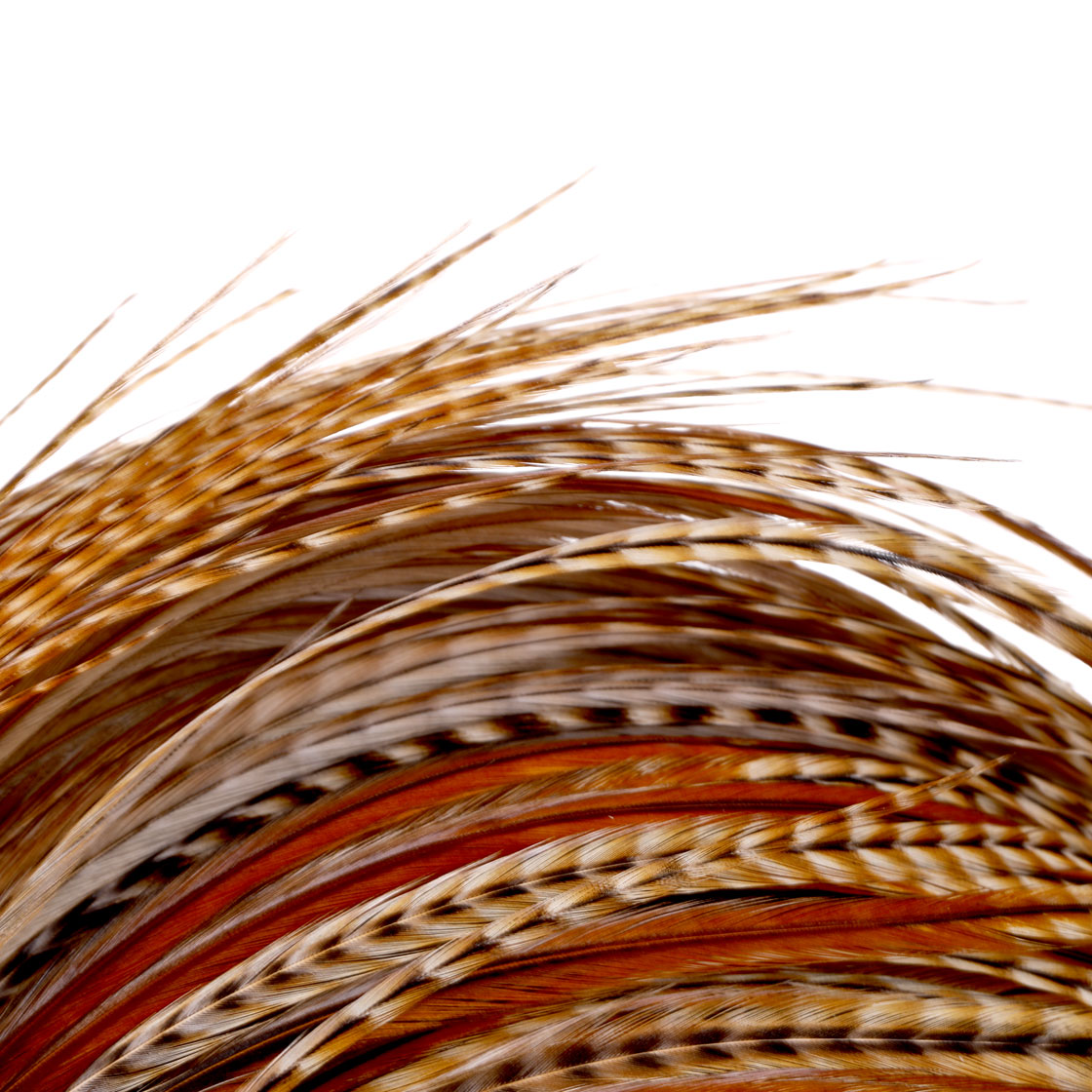 P-25433_Whiting-Silver-Cape_detail