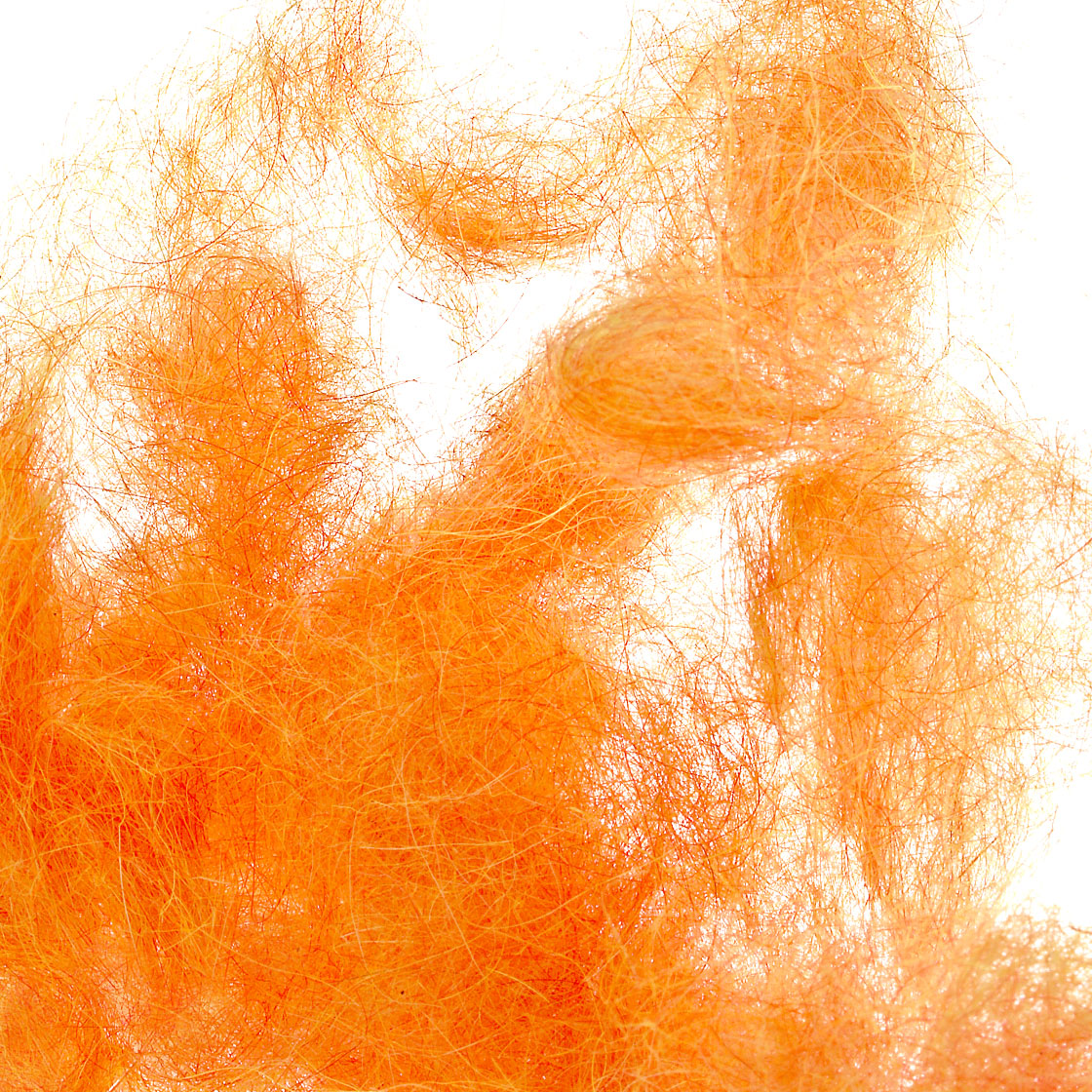 Orkney Peach