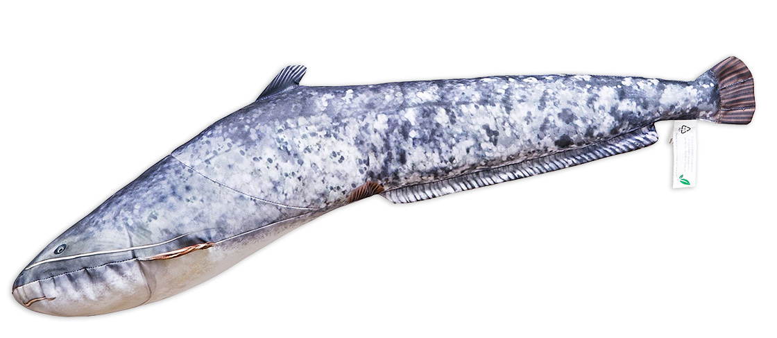 P-29172_Fischkissen_Kuscheltier_Wels_62cm_2gKanzga4LkzFz Fish Pillow Soft Toy Catfish 62cm