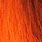 hot orange