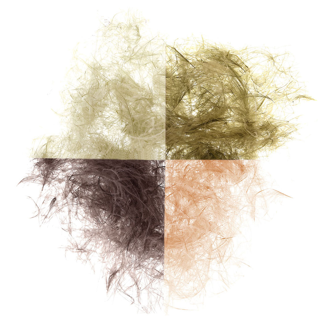 P-17428_soldarini_cdc-dubbing_titel Soldarini CDC Dubbing