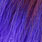 bright purple