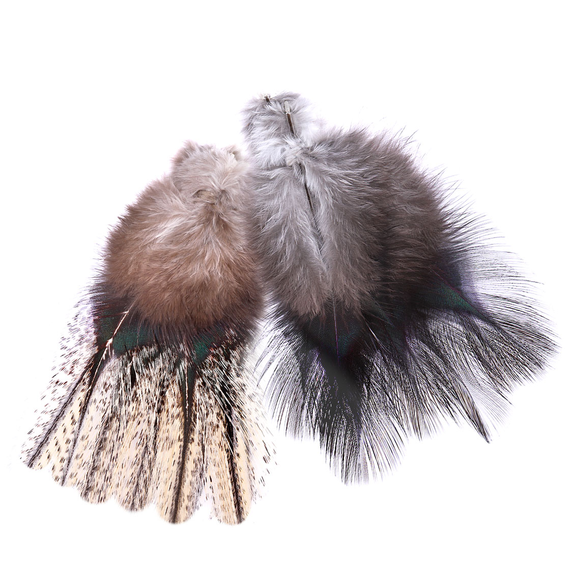 P-20890_Fasna-Coq-de-Leon-1-12-Feathers_titel Fasna Coq de Leon #1 12 Feathers