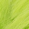 fluo chartreuse