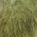 white dyed dark olive