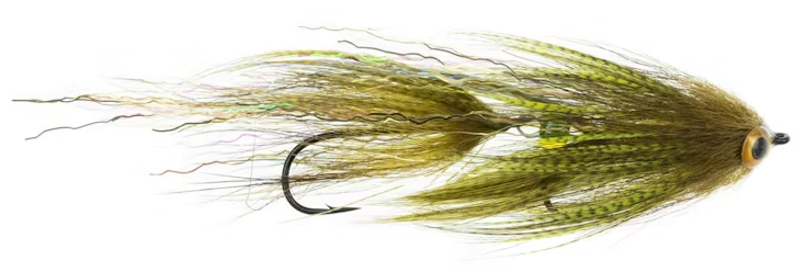 Guideline Streamer - Swim Coach Baby Craven olive