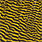 grizzly yellow