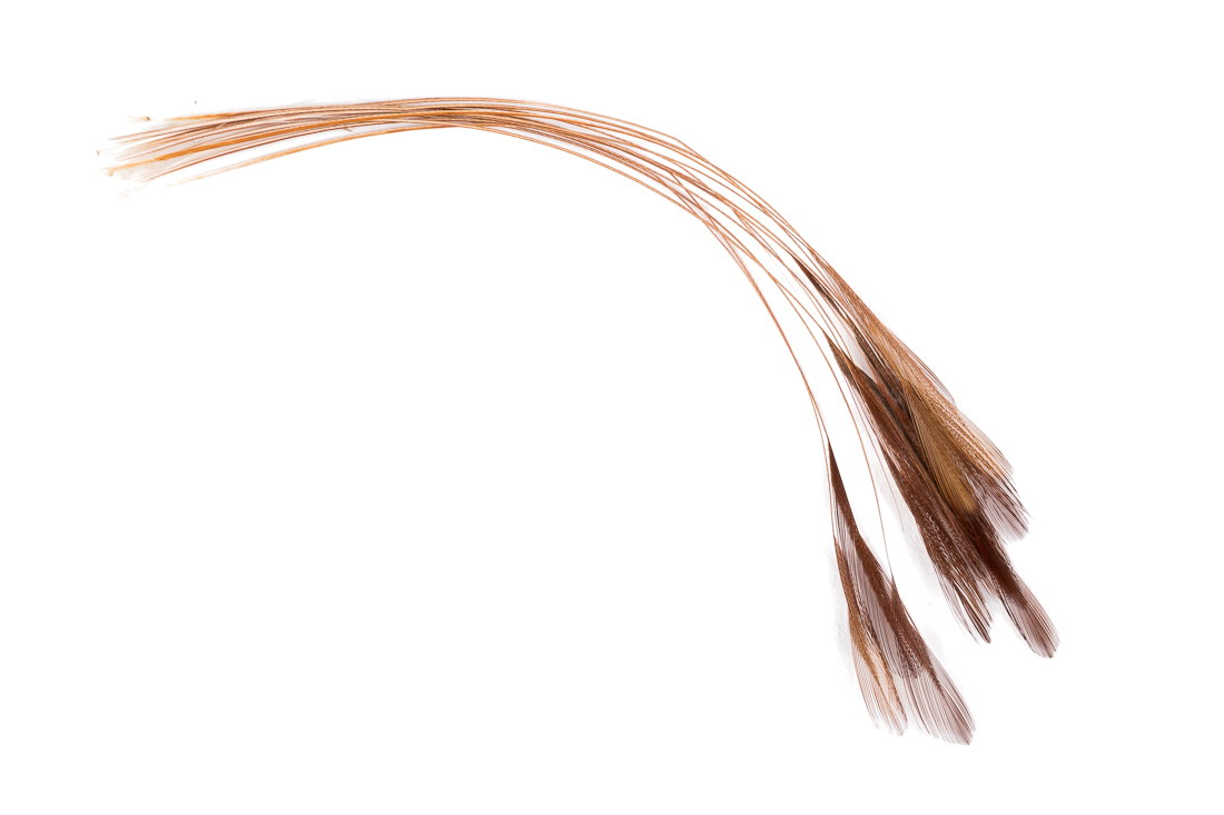natural brown