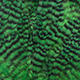 grizzly highlander green