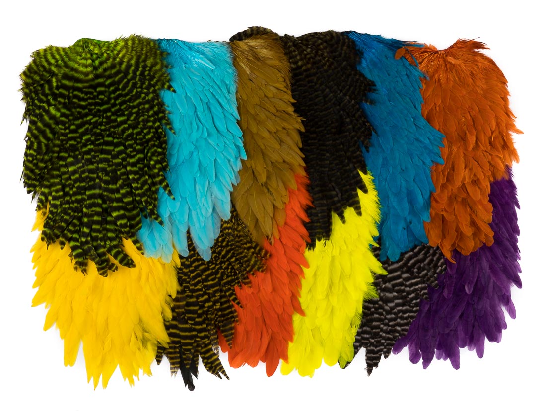 future_fly_signature_hen_saddle_title-4