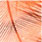 hot orange