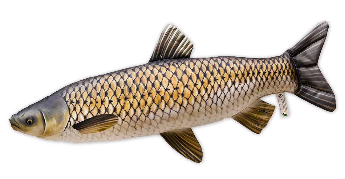 P-29204_Fischkissen_Kuscheltier_Graskarpfen_105cm_1 Fish Pillow Grass Carp 105cm