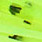 CL 54 chartreuse/black