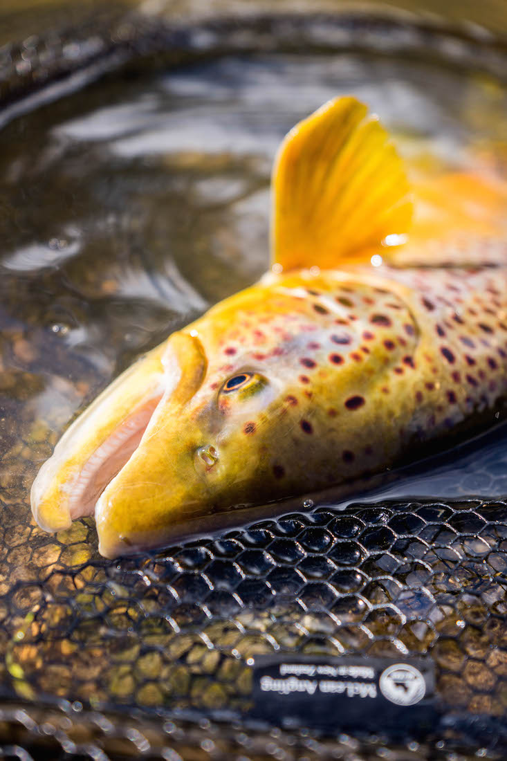 McLean_Net_Rubber_2 gummiertes Schonnetz