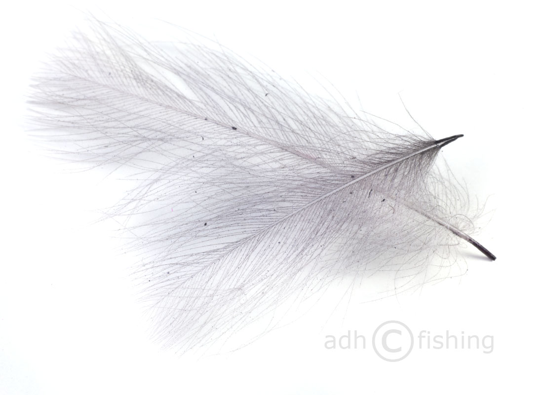 Hends_CDC_12_hi 12 iron dun