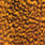 grizzly shrimp orange