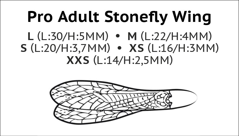 P-27705_Size_Adult_Stonefly_Wing_