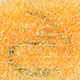 fluorescent apricot