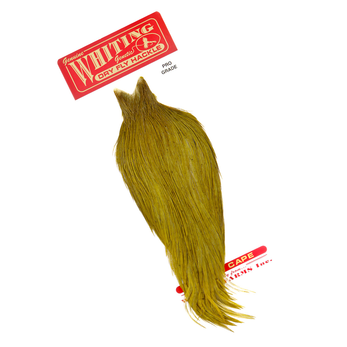 grizzly dyed dark olive