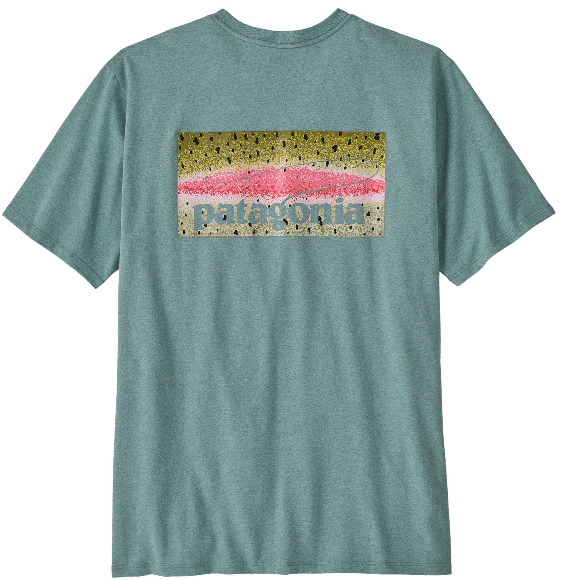 Patagonia Take a Stand Responsibili Tee RBSG