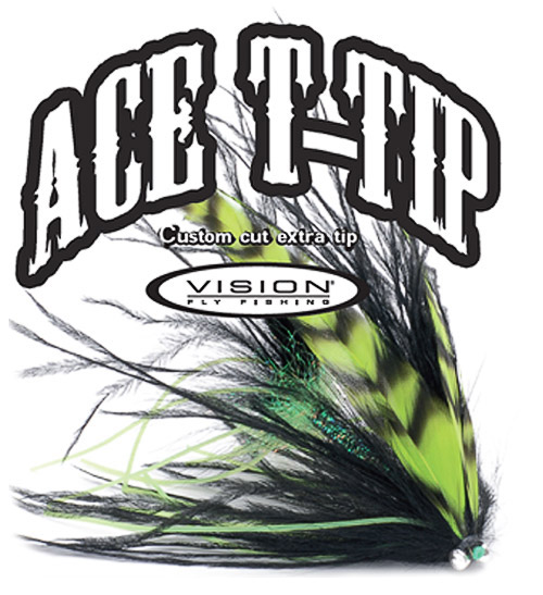 vision-ace-skagit-tips