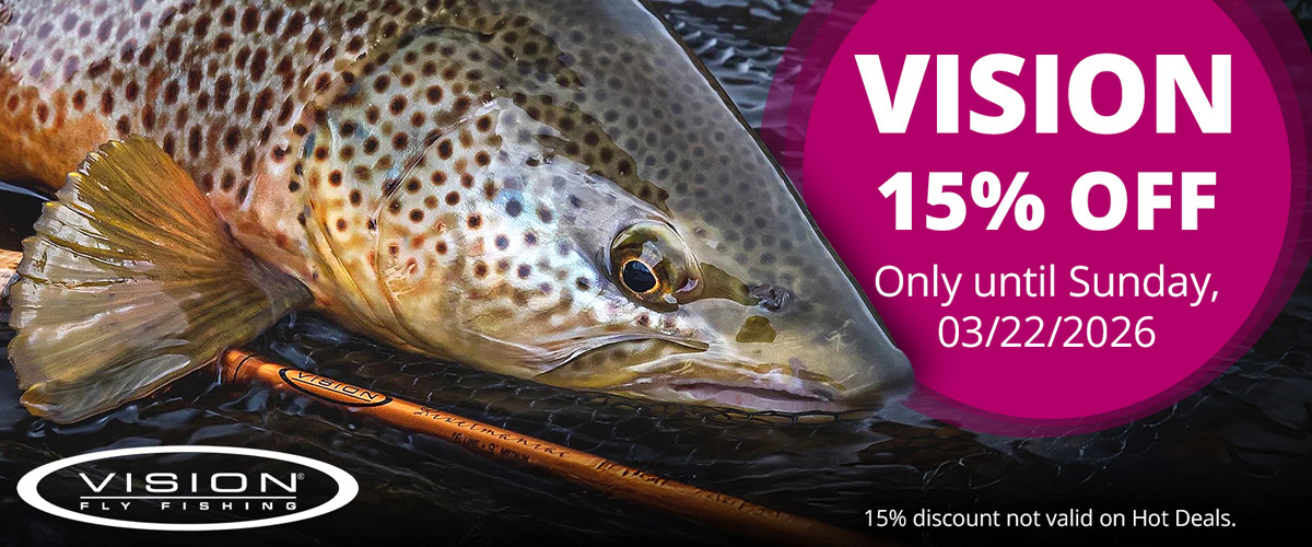 15% off VISION until 3/22