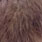 white dyed brown