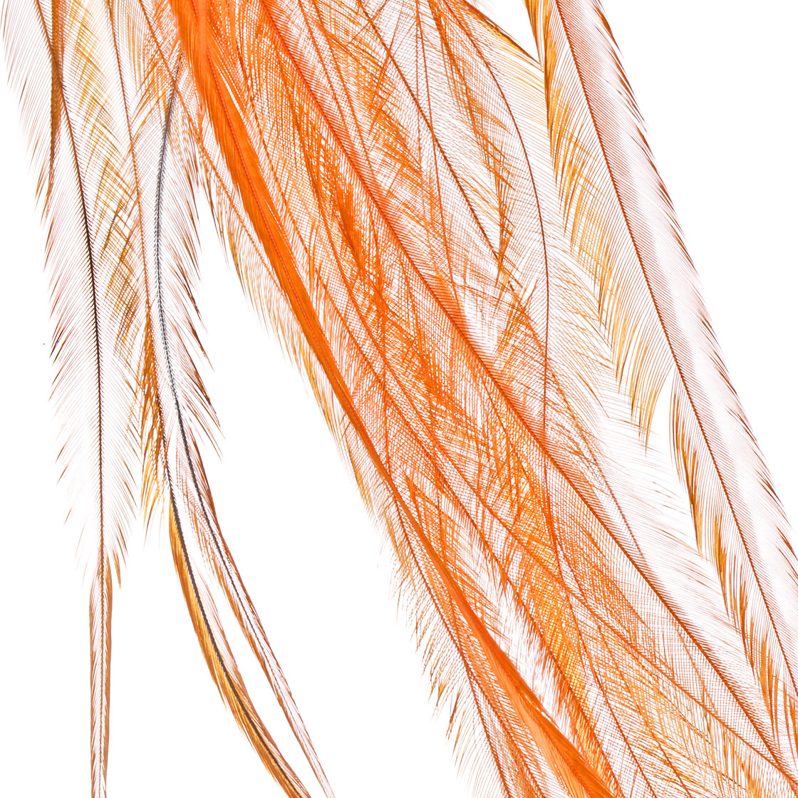 white dyed burnt orange