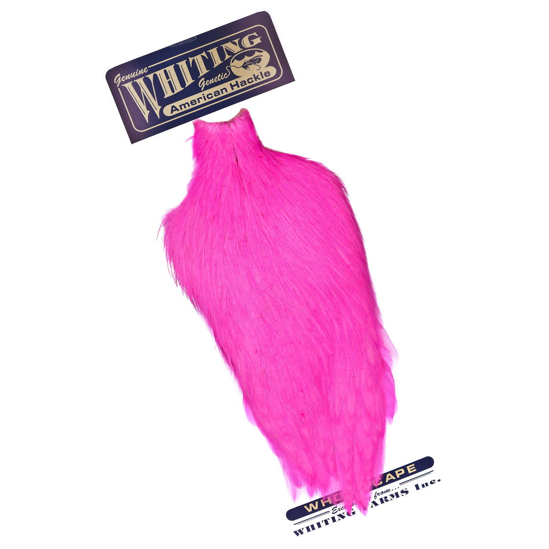 P-25380-41_Whiting-American-Rooster-Cape_white-dyed-pink white dyed pink