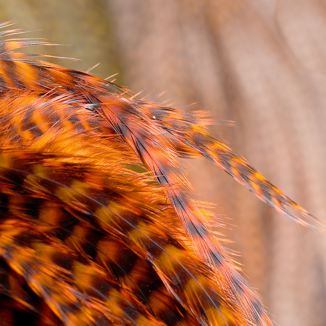 P-21430_hareline_half-grizzly-predator-saddle_detail-2