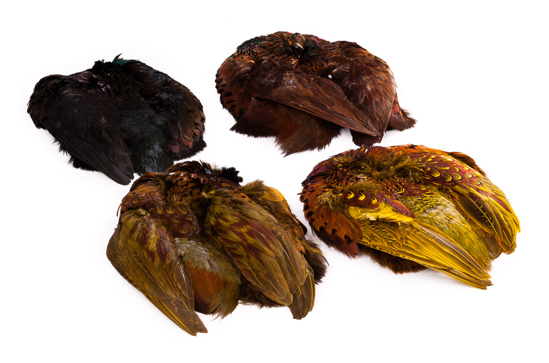 Wapsi Ringneck Pheasant Whole Skin
