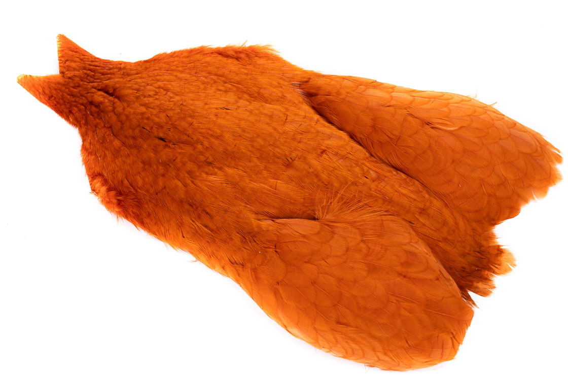 burnt orange