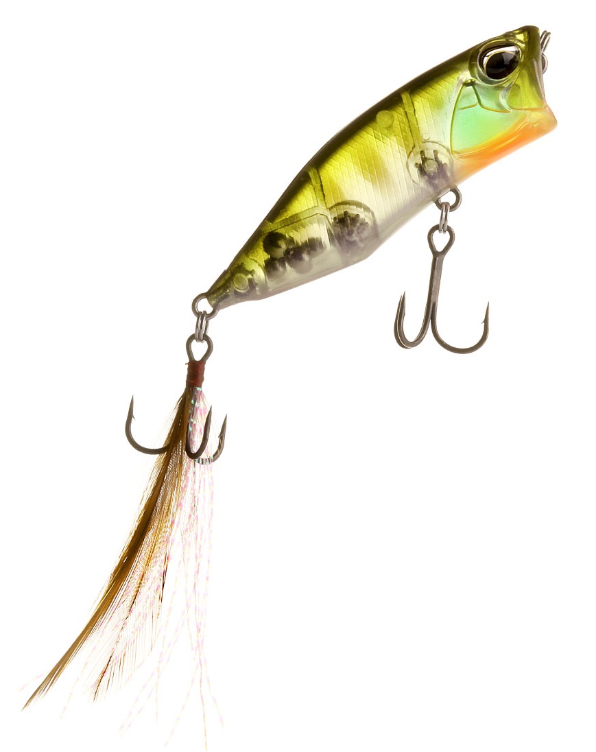 Ghost Gill