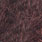 choc brown