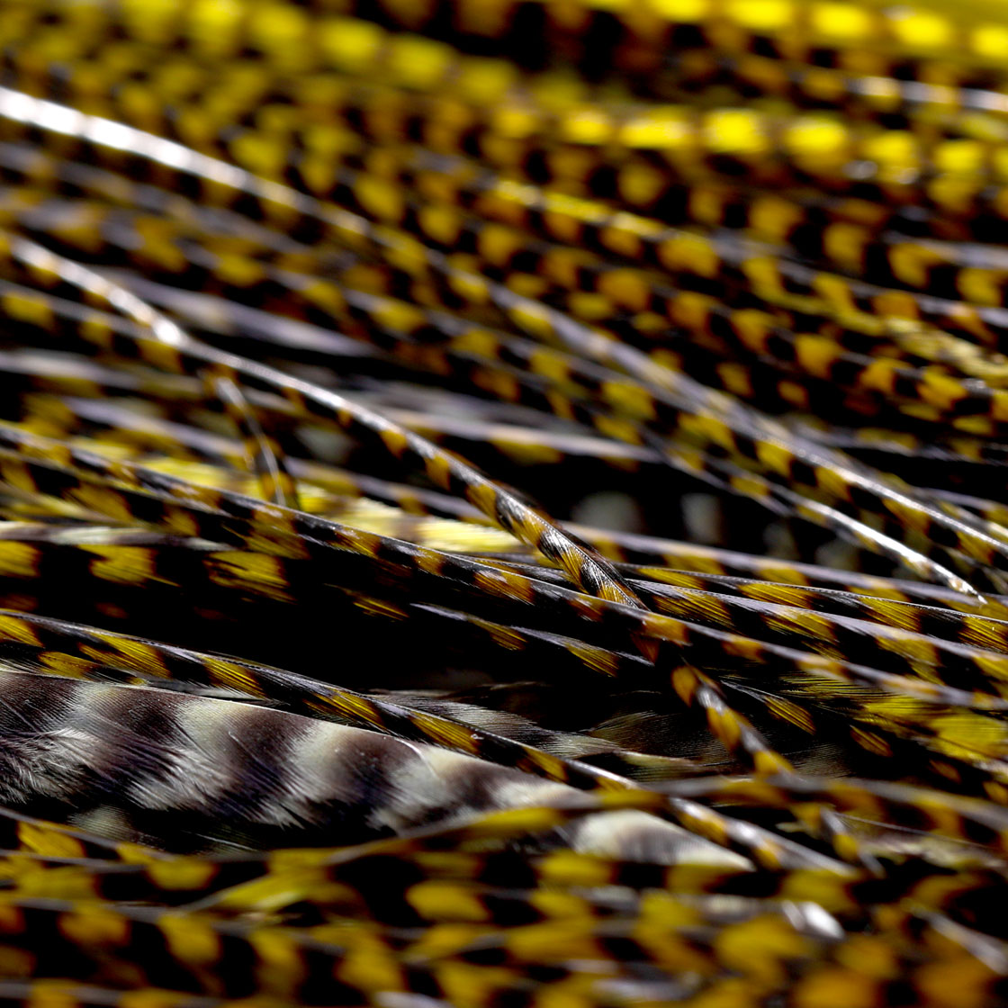 P-25418_Whiting-Bronze-1_2-Saddle_detail-3