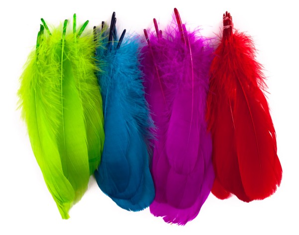 Wapsi Goose Shoulders, Feathers, Fly Tying Materials, Fly Tying