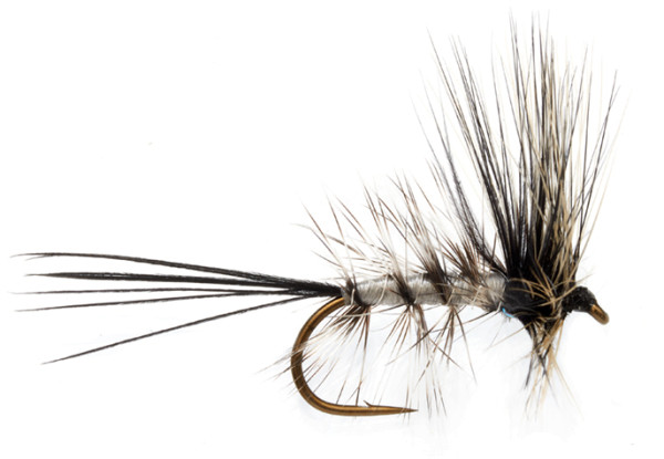 Fulling Mill Dry Fly - Jackie's Spent Maifliege