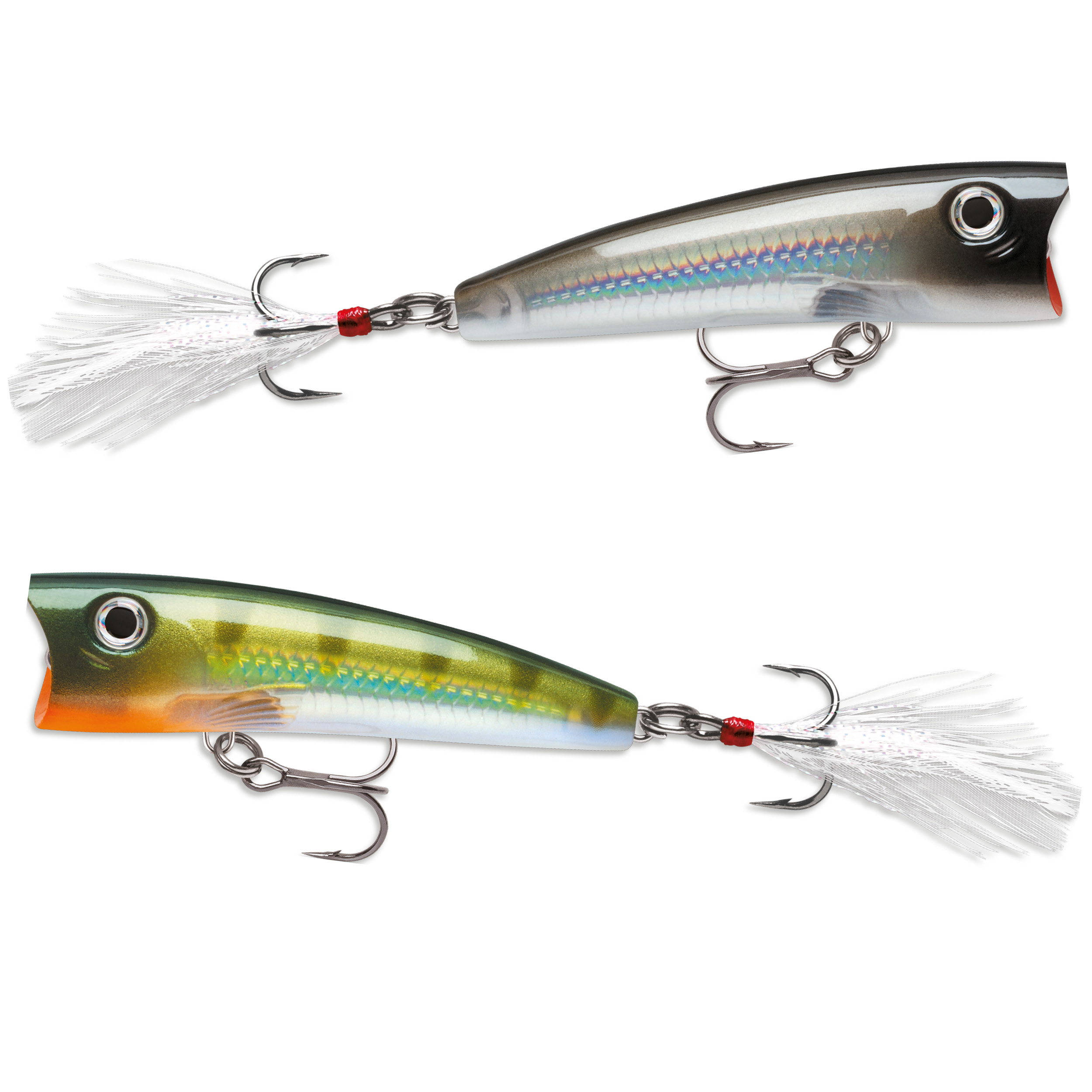 Rapala X Rap Pop 7 Cm Surfacebaits Lures And Baits Spin Fishing Adh Fishing