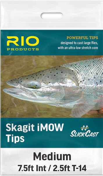 Rio Skagit iMOW Light Tip T8